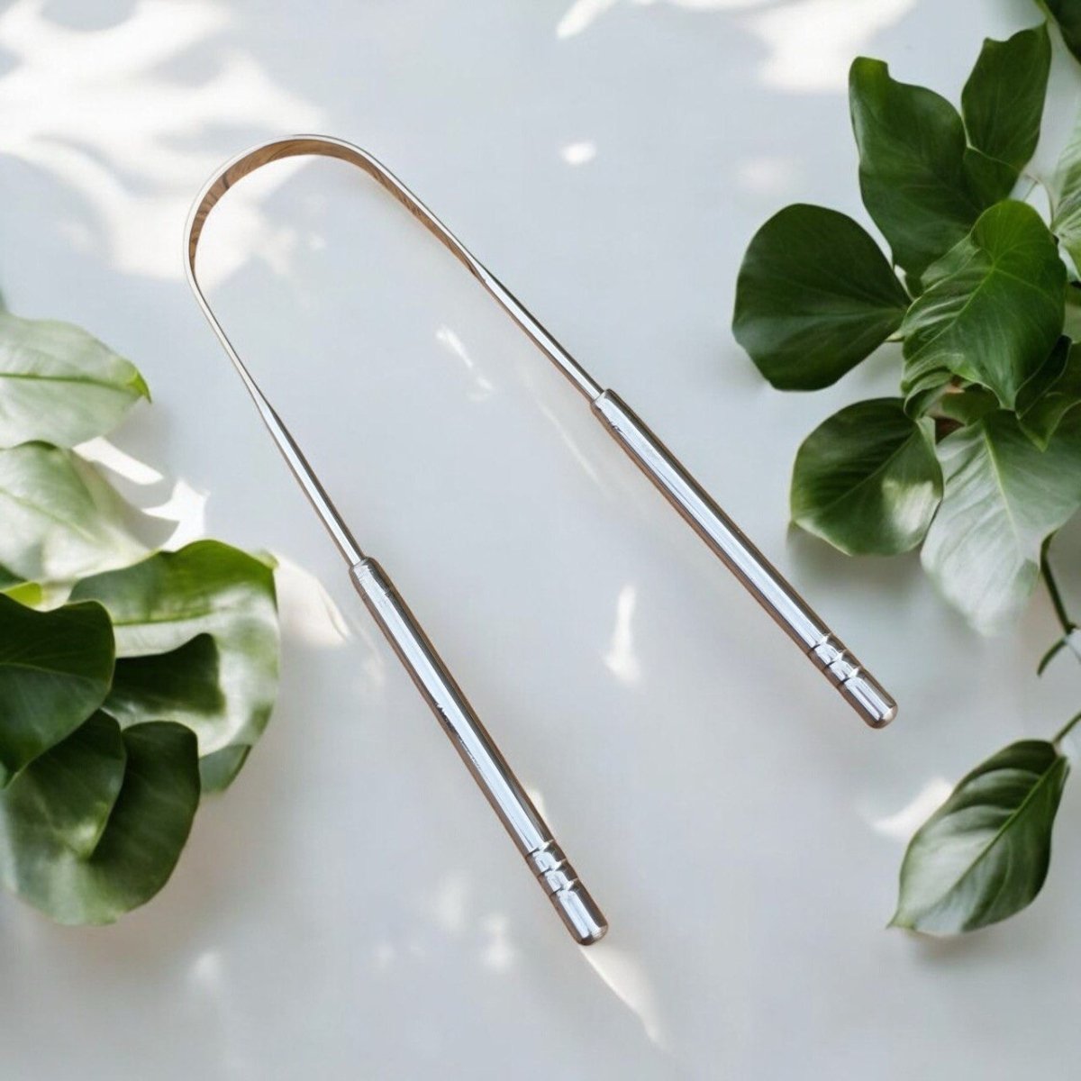MURA TONGUE SCRAPER WITH METAL CASE | مورا قاشطة اللسان مع علبة معدنية - EROS STORE