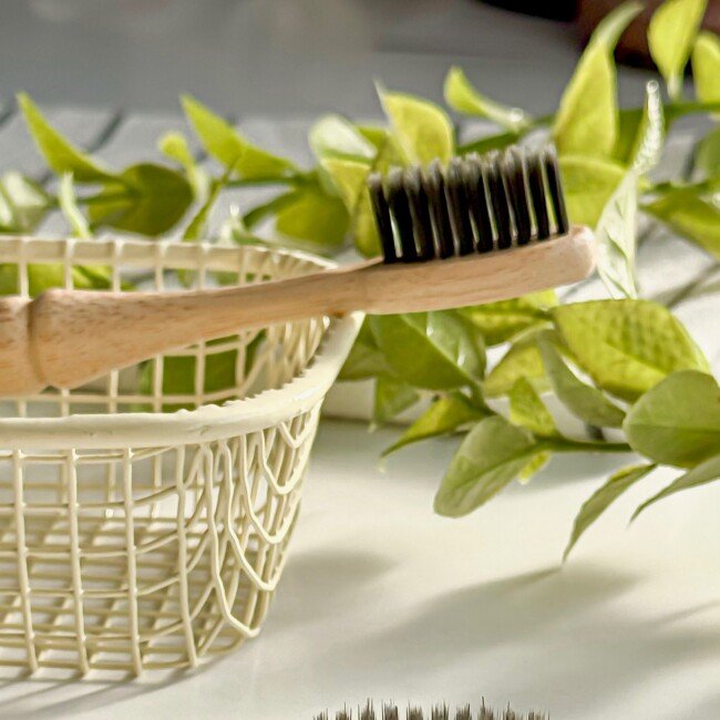 Bamboo stem toothbrush فرشة اسنان بتصميم ساق البامبو