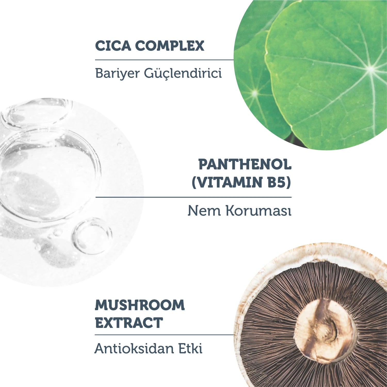 The Purest Soothing & Smoothing Cica Serum 30ml |  بيوريست سيروم سيكا مهدئ للبشرة الحساسة 30 مل