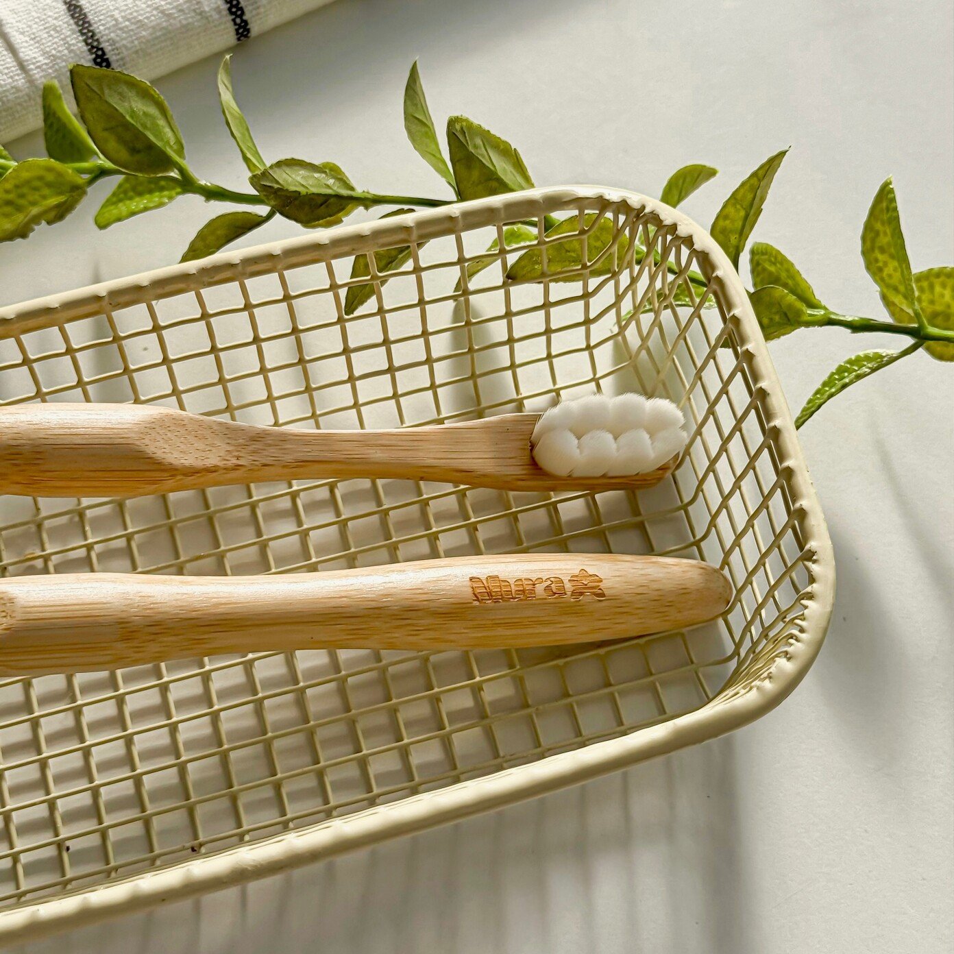 Mora Precision Toothbrush فرشة الاسنان الدقيقة من مورا